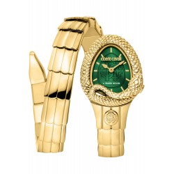 Montre ROBERTO CAVALLI BY...