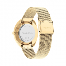 Montre CALVIN KLEIN Mod. 25200271